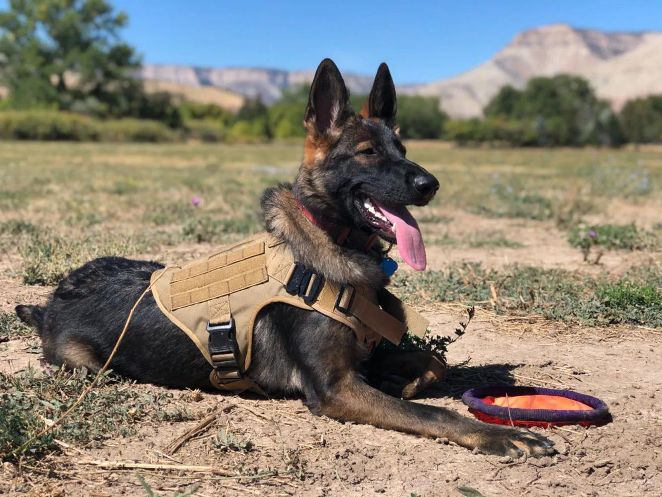 Tactical Dog Harness – Training Vest for Medium & Large Dogs