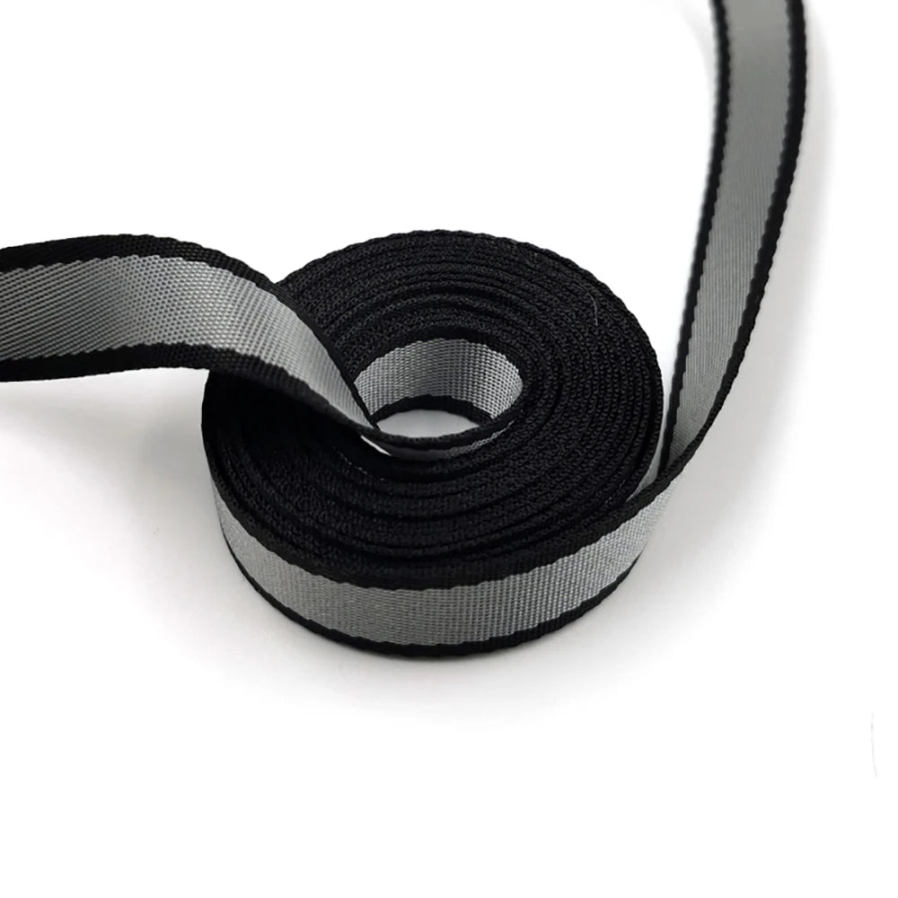 Adjustable Retractable Dog Leash for Small and Large Dogs