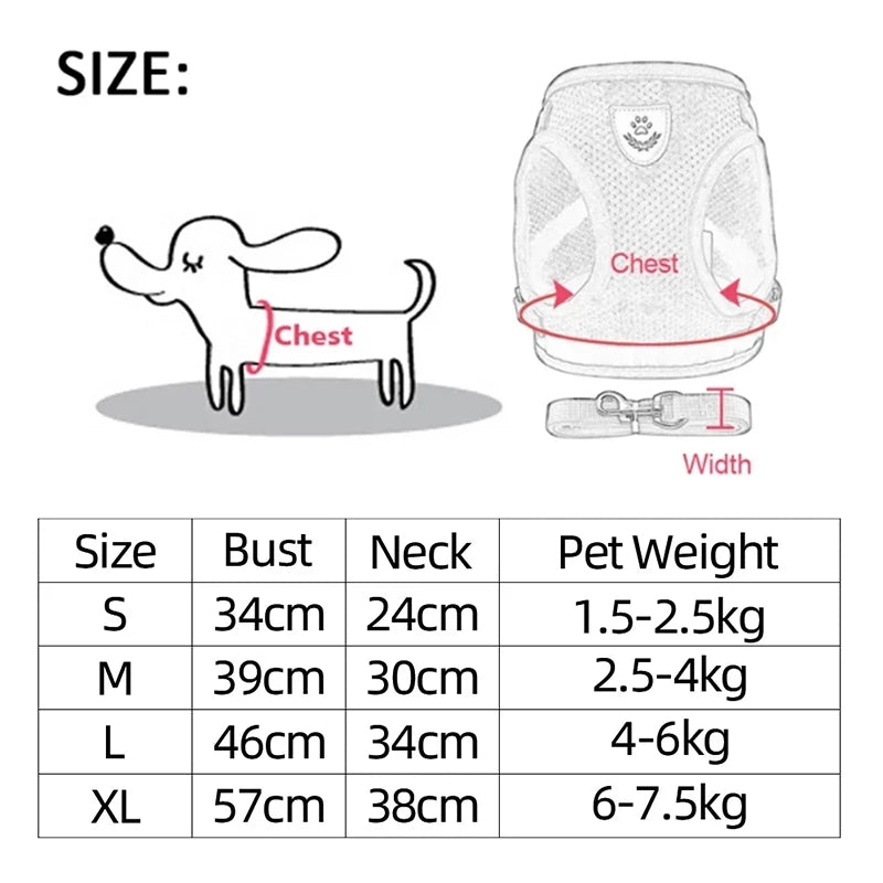 Adjustable Small Dog & Cat Harness and Leash Set