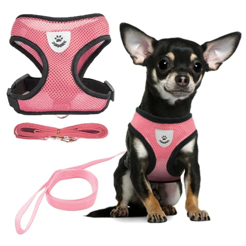 Adjustable Small Dog & Cat Harness and Leash Set