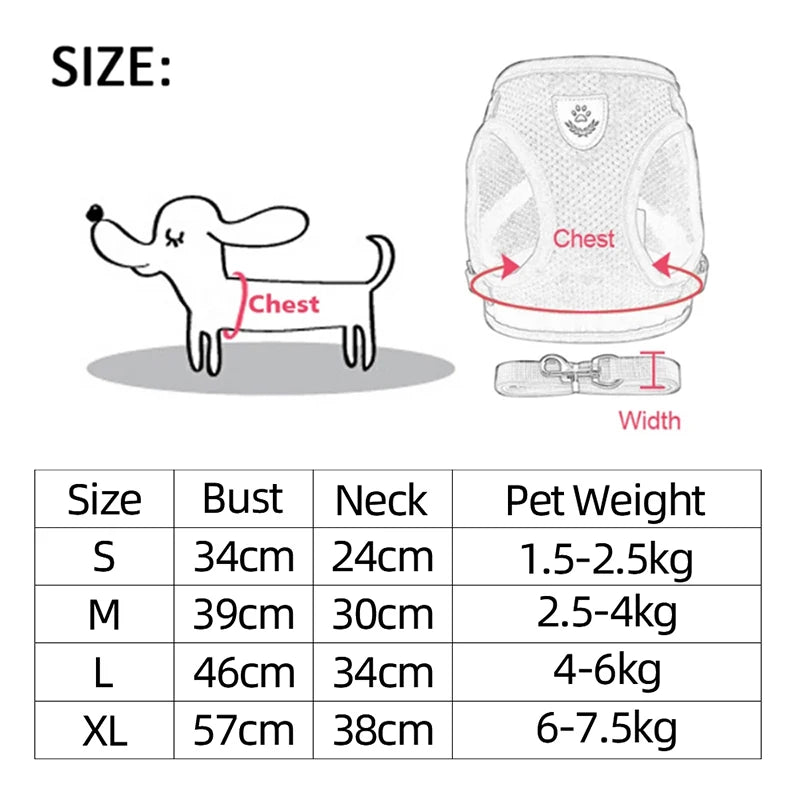 Adjustable Small Dog & Cat Harness and Leash Set