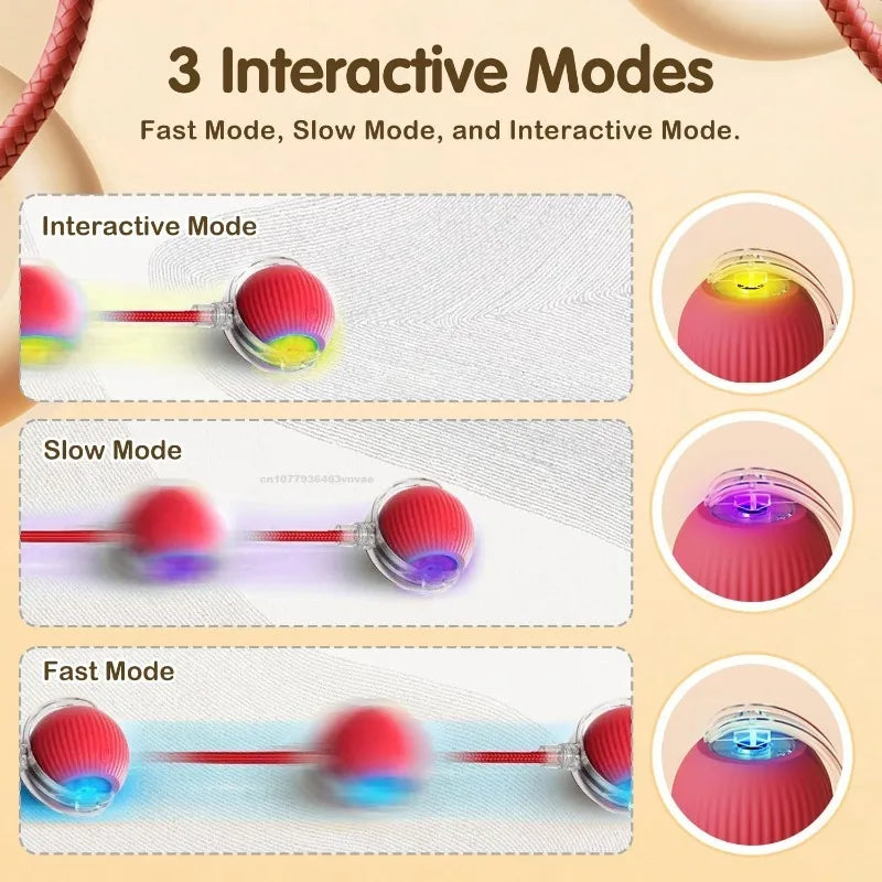 Automatic Rolling Cat Toy Ball – Self-Moving Electric Play Ball for Kittens