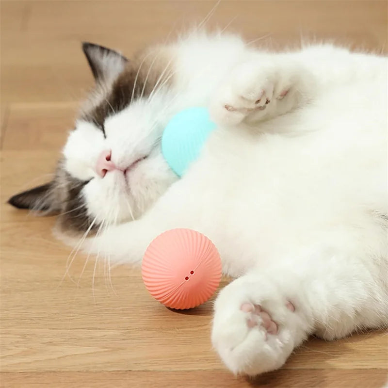 Smart Interactive Dog Toy Ball – USB Rechargeable & Auto-Moving