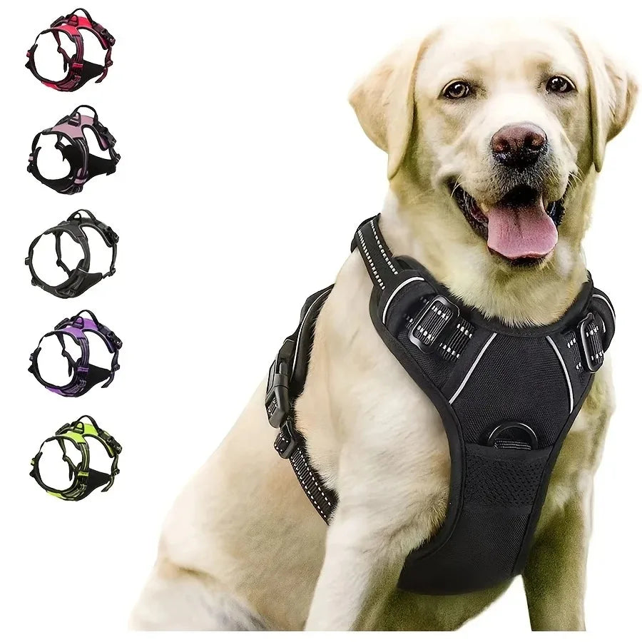 Dog Collar, Harness & Leash Set – Leather for Small & Medium Dogs