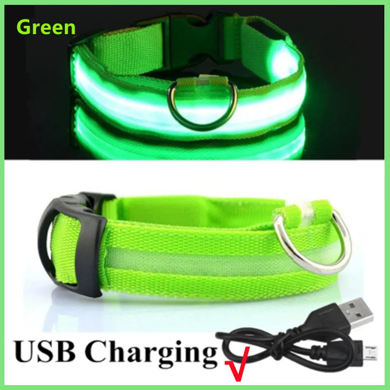 USB Rechargeable LED Pet Collar – Adjustable & Glowing