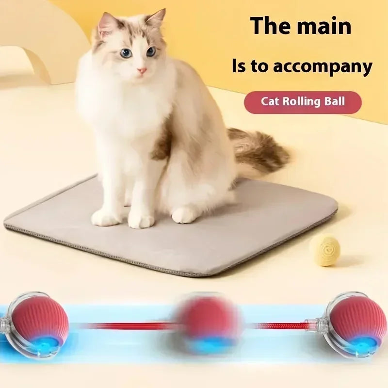 Rechargeable Interactive Rolling Ball Toy for Cats and Dogs