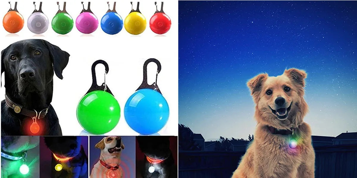 USB Rechargeable LED Pet Collar – Adjustable & Glowing