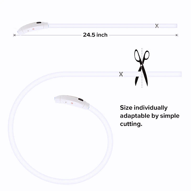 USB Rechargeable LED Pet Collar – Adjustable & Glowing