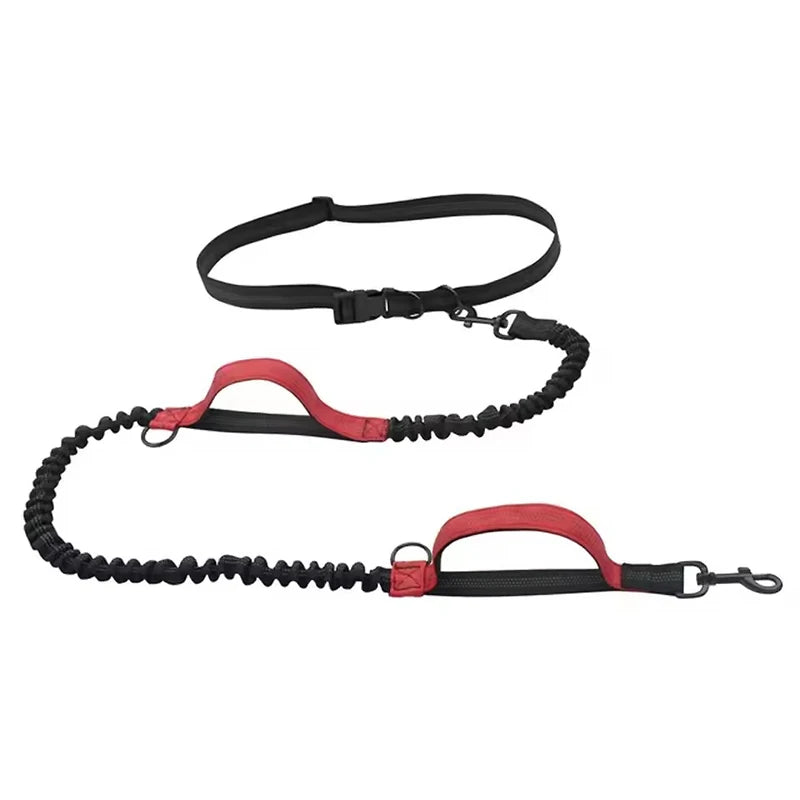 Hands-Free Reflective Dual-Handle Dog Leash