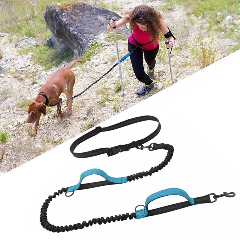 Hands-Free Reflective Dual-Handle Dog Leash