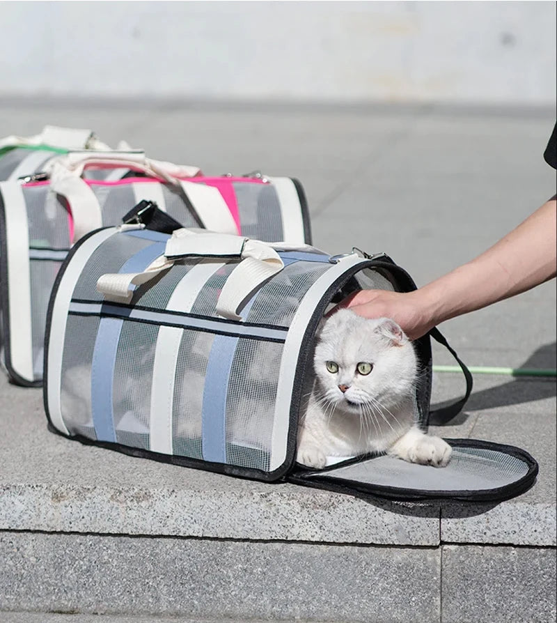 Foldable Mesh Pet Carrying Handbag for Cats & Small to Medium Dogs