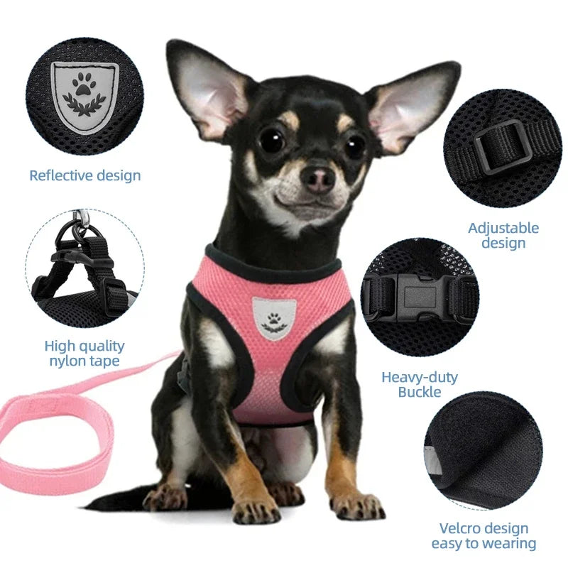 Breathable Mesh Pet Harness & Leash Set – Reflective & Adjustable