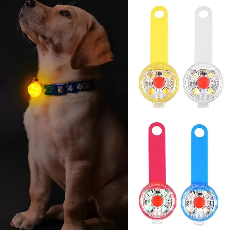 LED Safety Dog Collar – USB Rechargeable & Weatherproof
