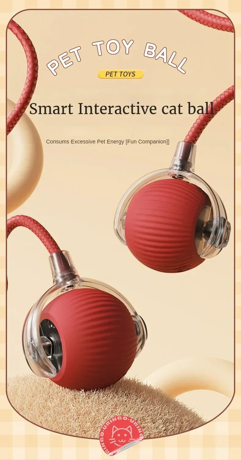 Rechargeable Interactive Rolling Ball Toy for Cats and Dogs