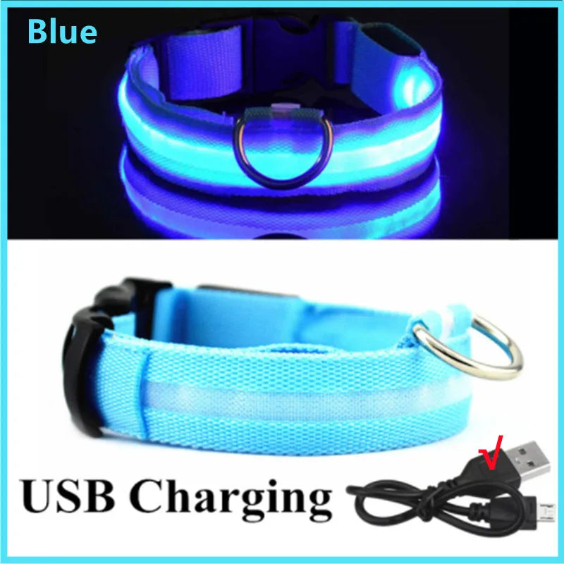 USB Rechargeable LED Pet Collar – Adjustable & Glowing
