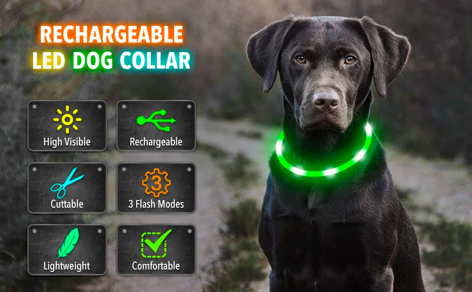 USB Rechargeable LED Pet Collar – Adjustable & Glowing