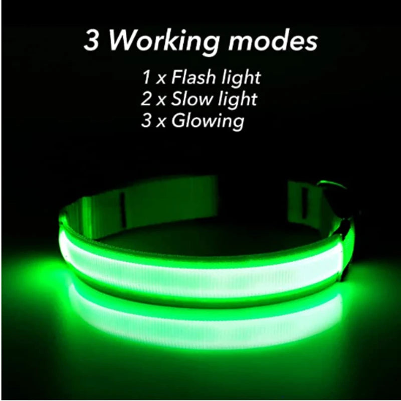 USB Rechargeable LED Pet Collar – Adjustable & Glowing