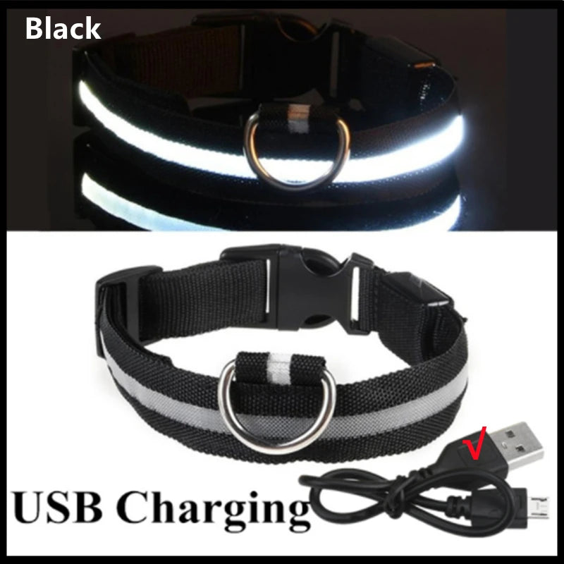 USB Rechargeable LED Pet Collar – Adjustable & Glowing