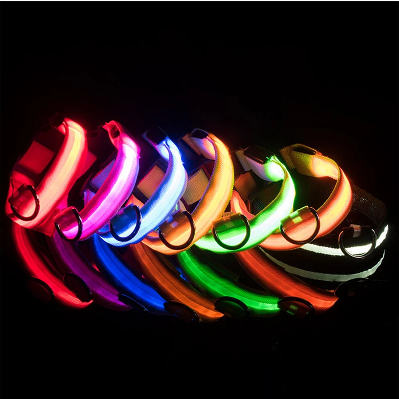 USB Rechargeable LED Pet Collar – Adjustable & Glowing
