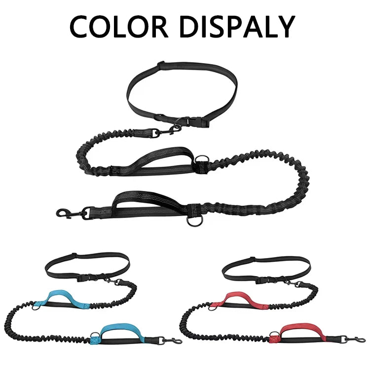 Hands-Free Reflective Dual-Handle Dog Leash