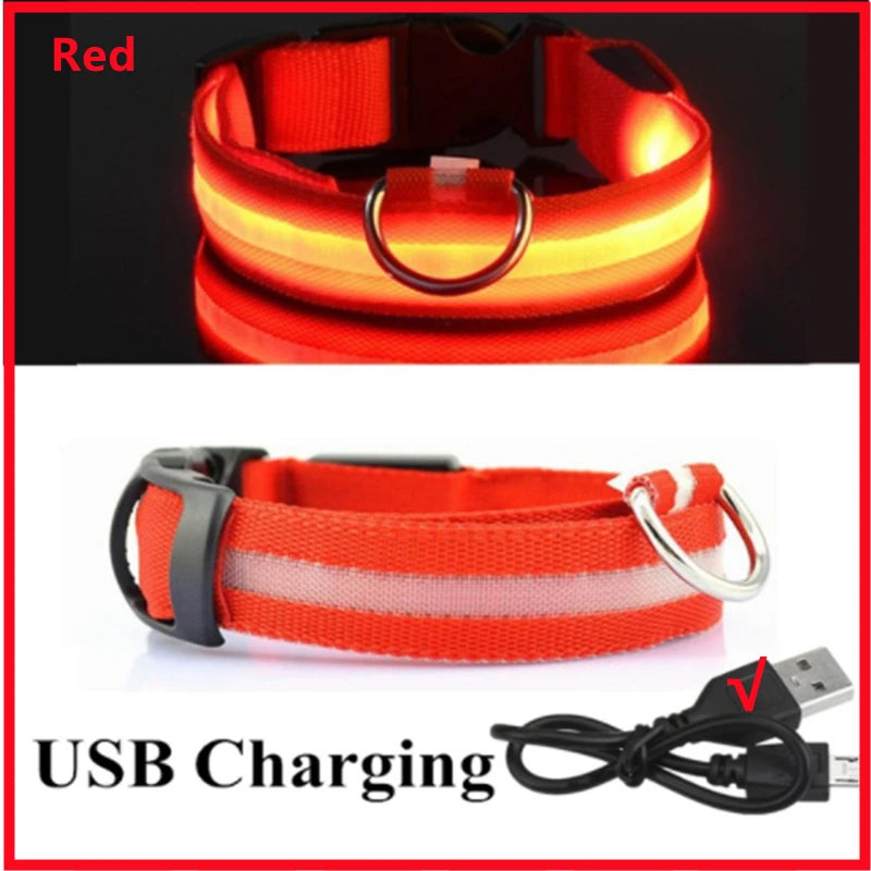 USB Rechargeable LED Pet Collar – Adjustable & Glowing