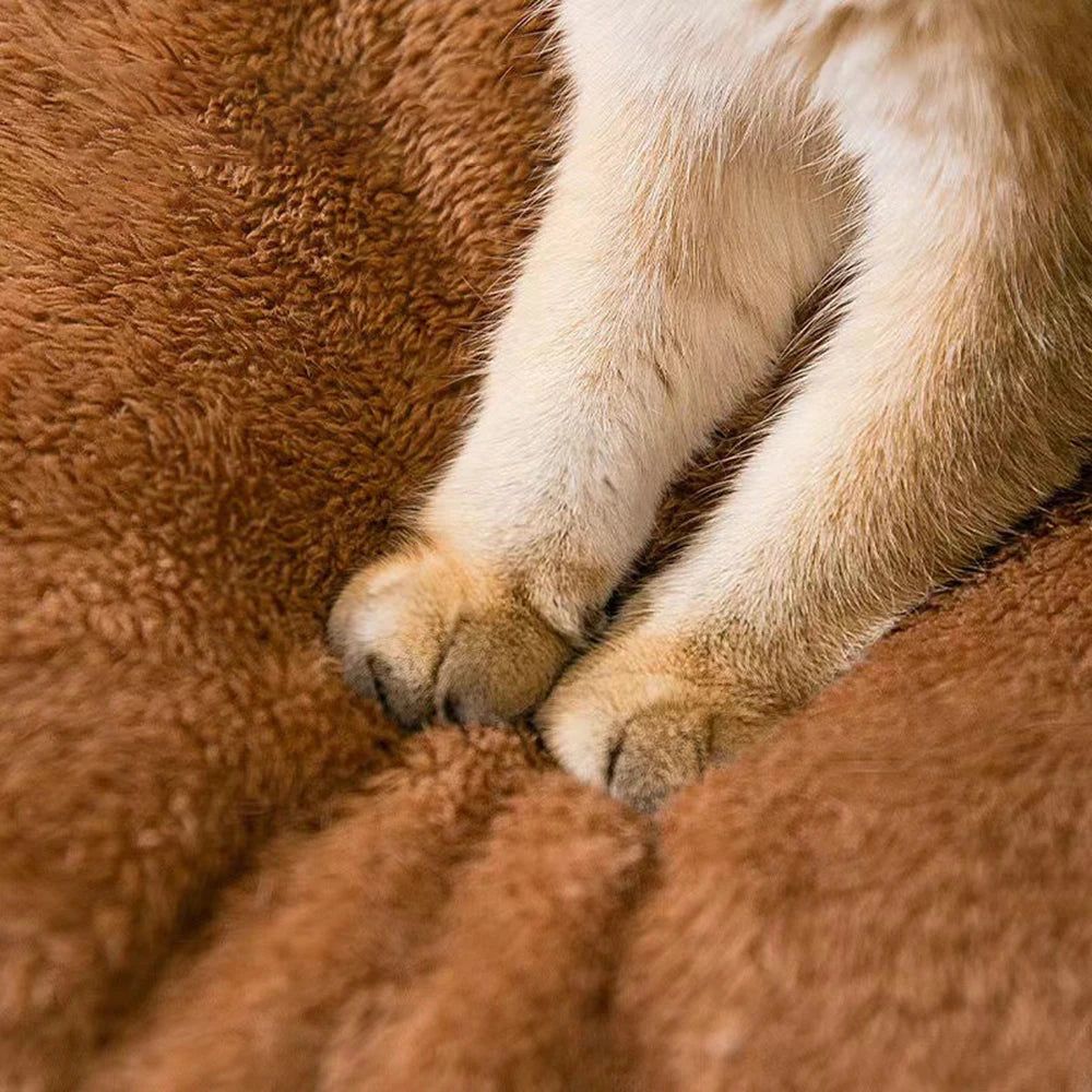 Four-Season Enclosed Pet Bed – Teddy Bear Style for Cats & Small Dogs