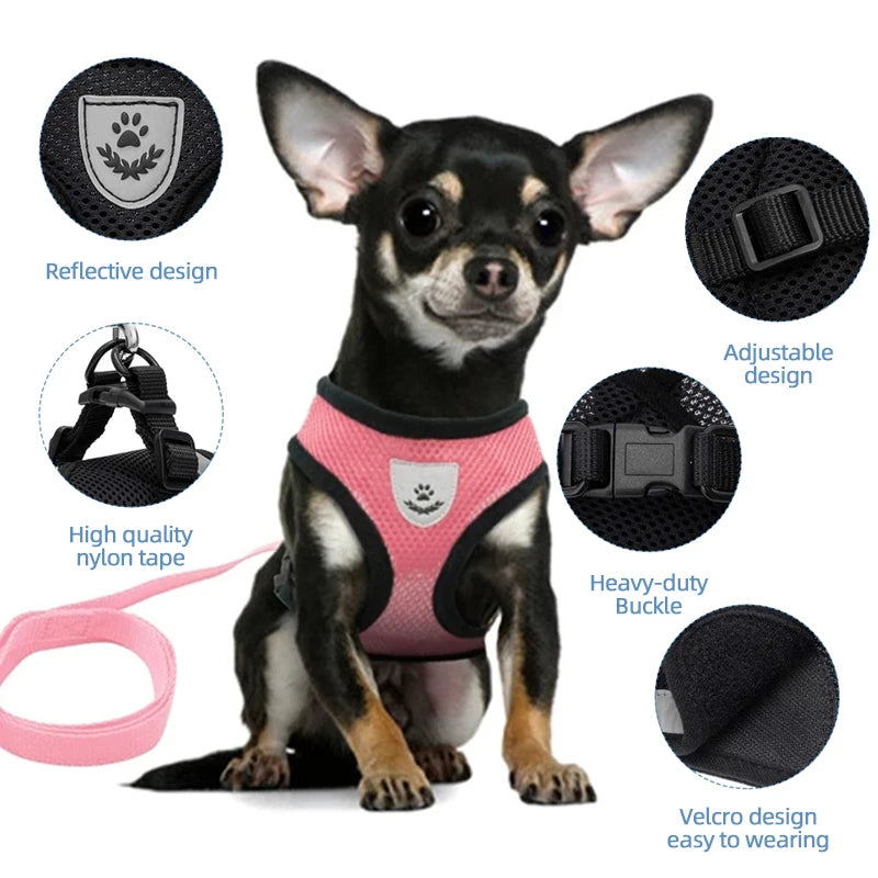Breathable Mesh Pet Harness & Leash Set – Reflective & Adjustable
