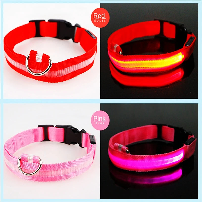 USB Rechargeable LED Pet Collar – Adjustable & Glowing