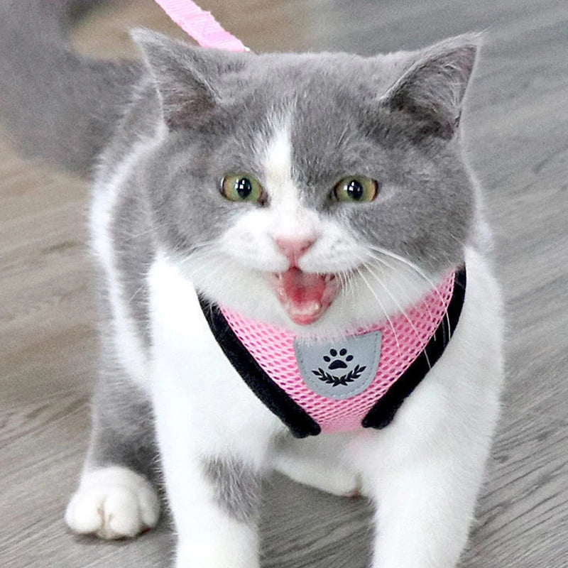 Breathable Mesh Pet Harness & Leash Set – Reflective & Adjustable