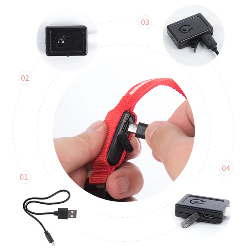 USB Rechargeable LED Pet Collar – Adjustable & Glowing