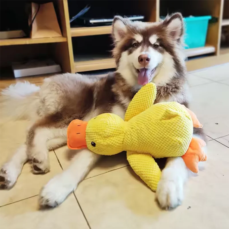 Durable Squeaky Duck Plush Toy for Dogs – Calming & Chew-Friendly