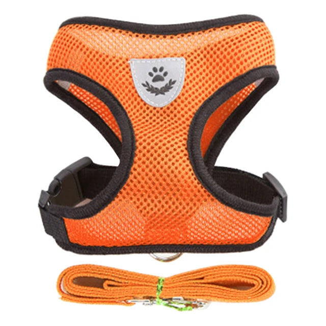 Adjustable Small Dog & Cat Harness and Leash Set