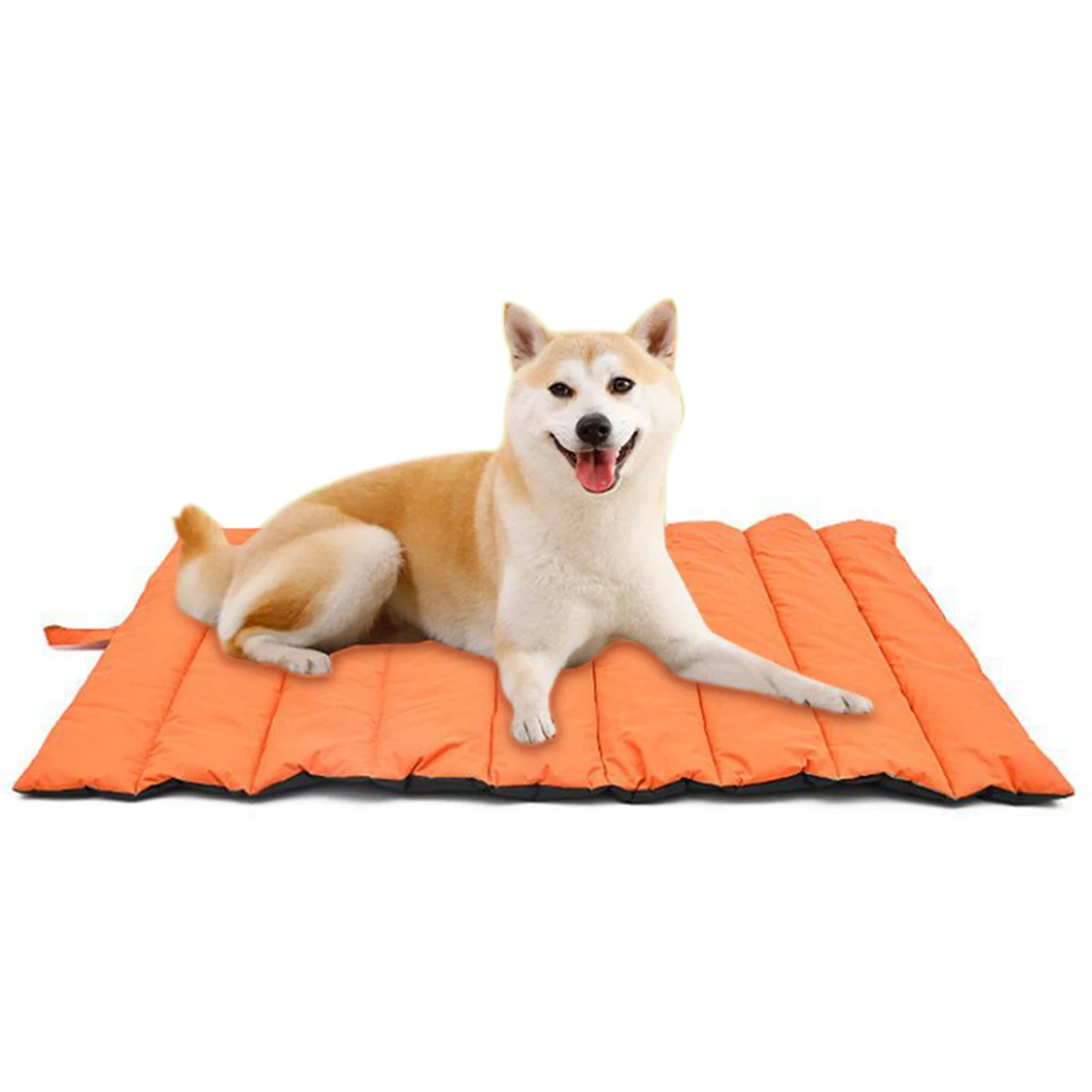 Portable Waterproof Pet Mat – Outdoor Dog & Cat Bed with Carry Bag