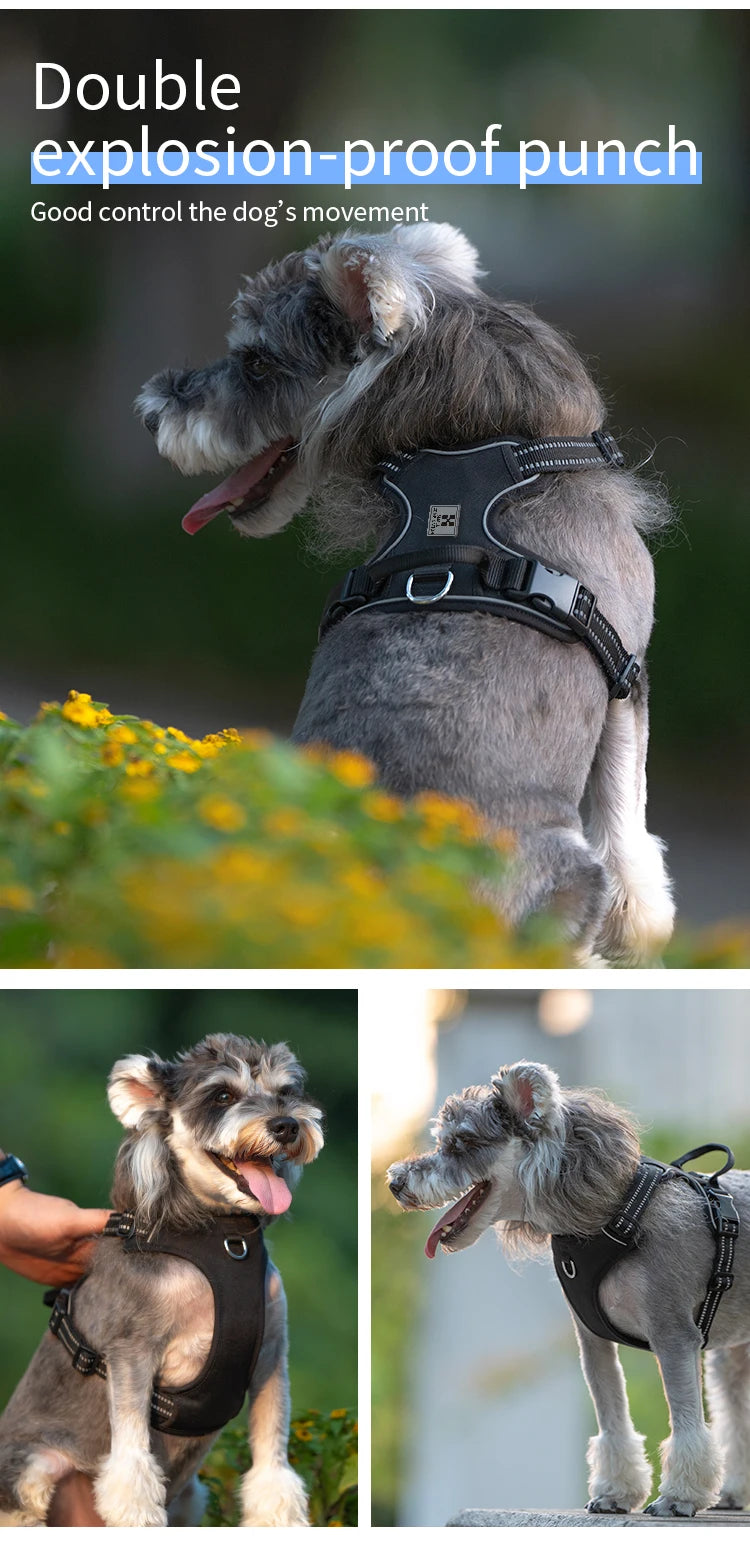 Personalized No-Pull Reflective Padded Dog Harness