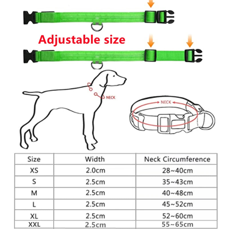 USB Rechargeable LED Pet Collar – Adjustable & Glowing