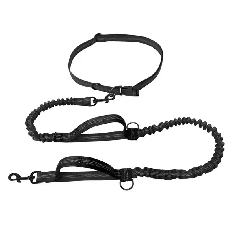 Hands-Free Reflective Dual-Handle Dog Leash