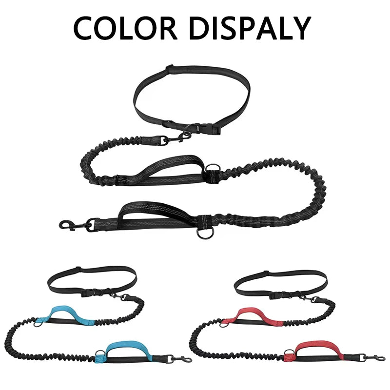 Hands-Free Reflective Dual-Handle Dog Leash