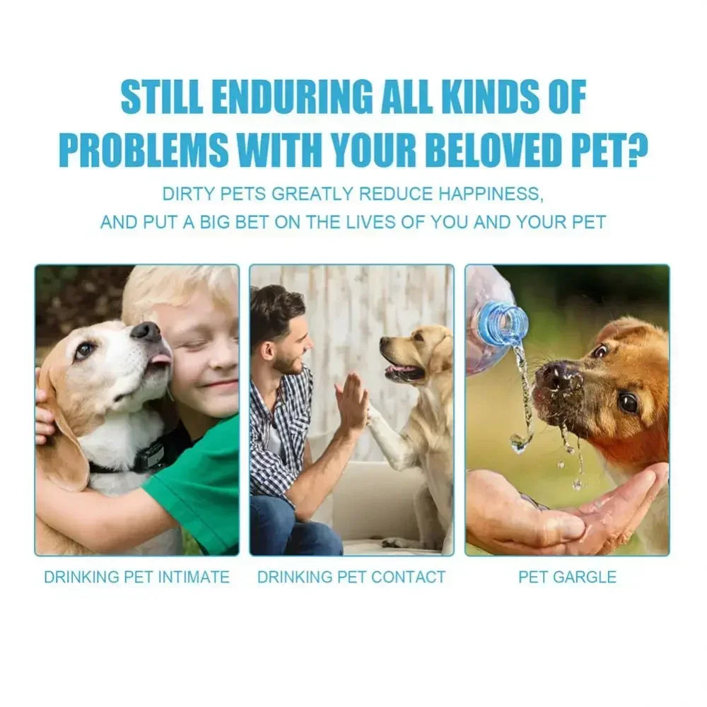 Soft Bristle Cat Toothbrush – Gentle Teeth Cleaning Brush for Cats