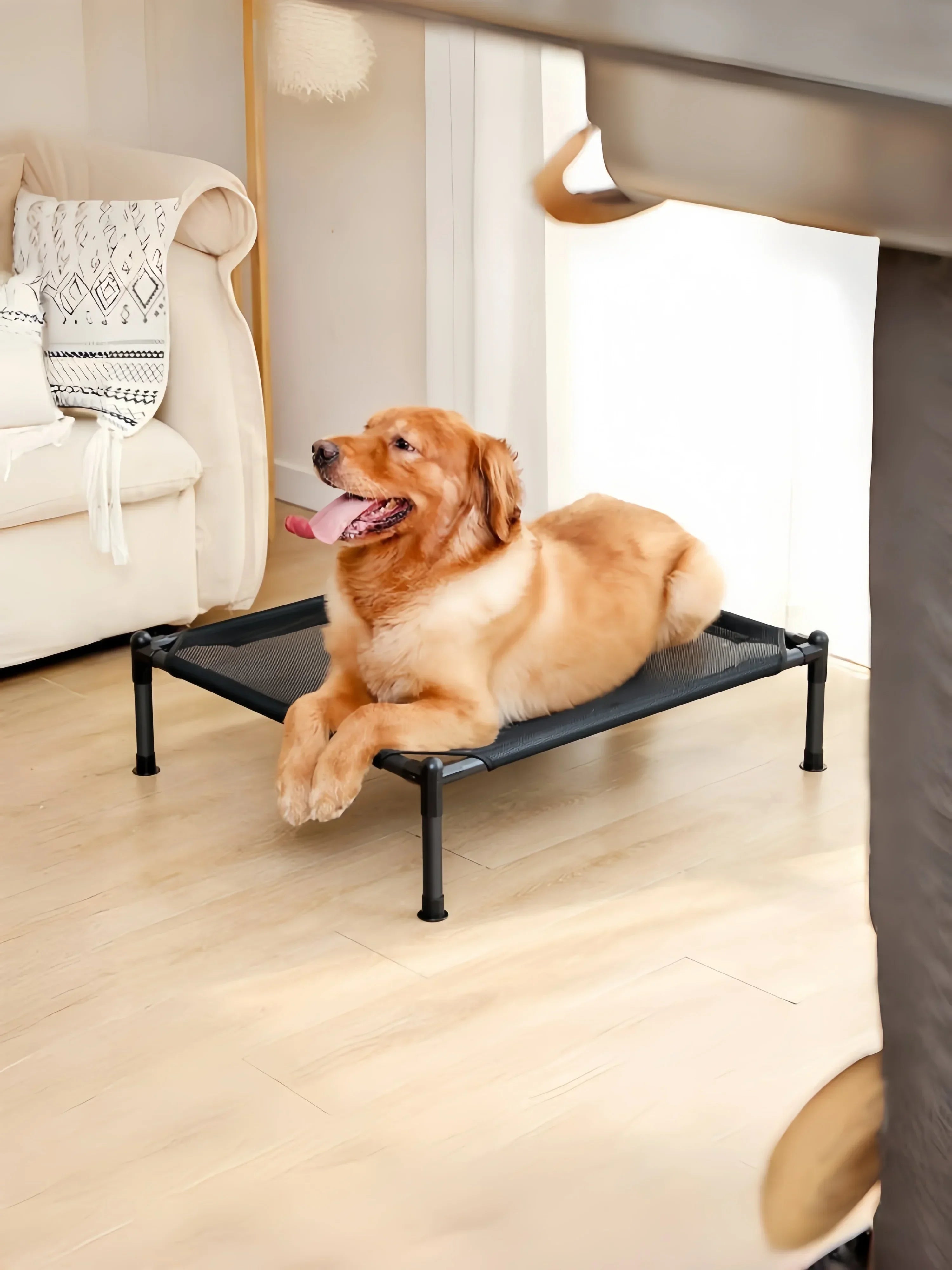 Elevated Folding Pet Bed – Portable, Washable Dog & Cat Camping Cot