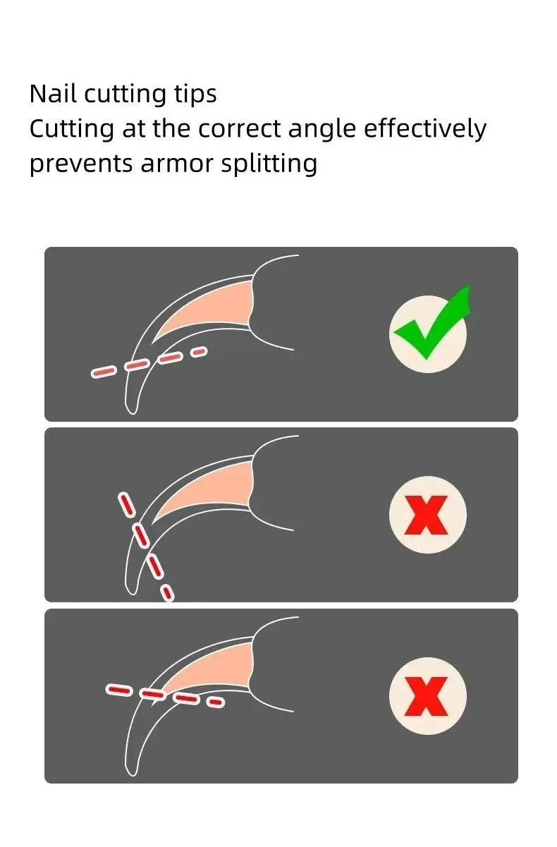 Professional Cat & Dog Nail Clippers – Stainless Steel Grooming Trimmer