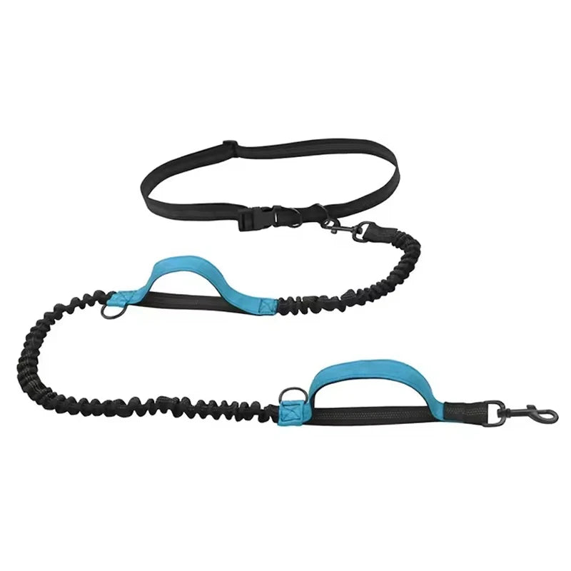 Hands-Free Reflective Dual-Handle Dog Leash