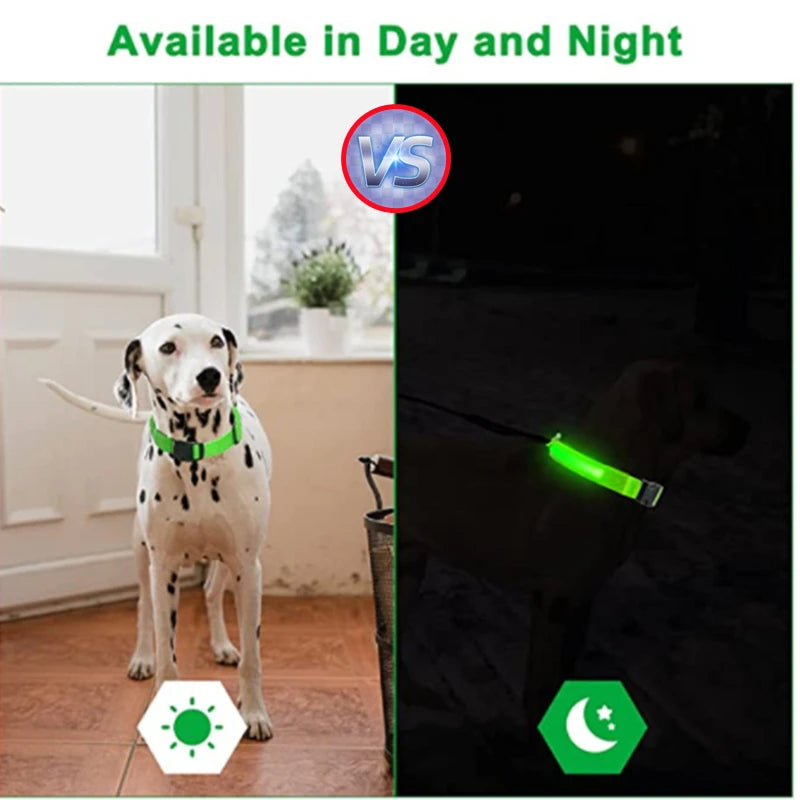 USB Rechargeable LED Pet Collar – Adjustable & Glowing