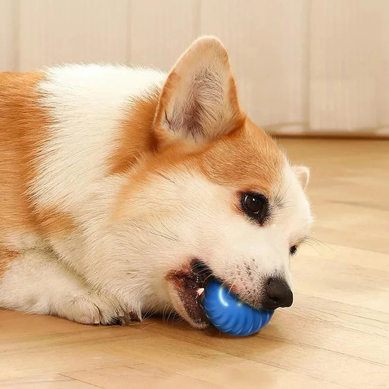 Smart Interactive Dog Toy Ball – USB Rechargeable & Auto-Moving