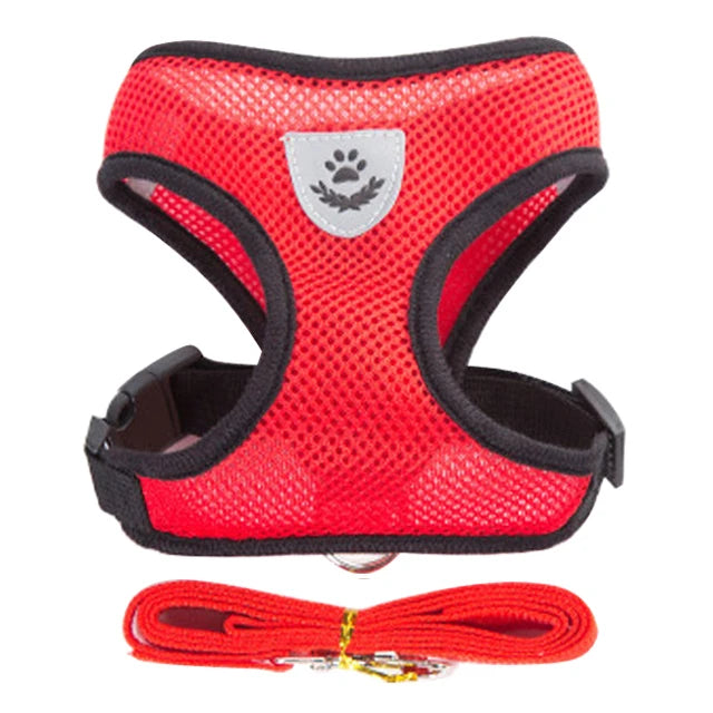 Adjustable Small Dog & Cat Harness and Leash Set