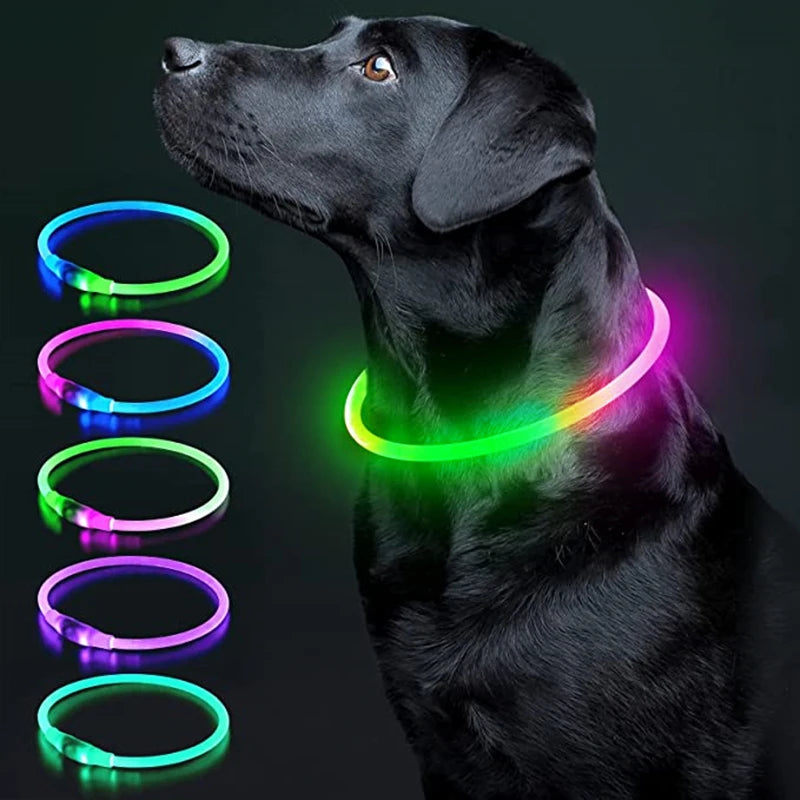 USB Rechargeable LED Pet Collar – Adjustable & Glowing