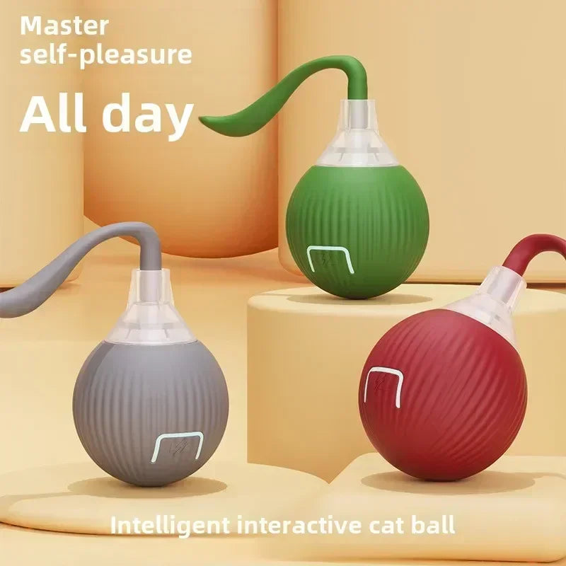 Rechargeable Interactive Rolling Ball Toy for Cats and Dogs