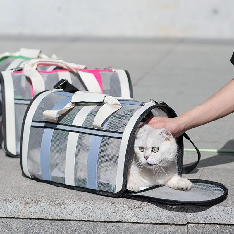 Foldable Mesh Pet Carrying Handbag for Cats & Small to Medium Dogs