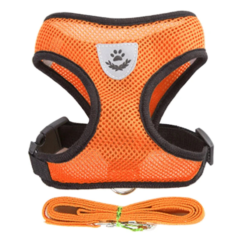 Adjustable Small Dog & Cat Harness and Leash Set