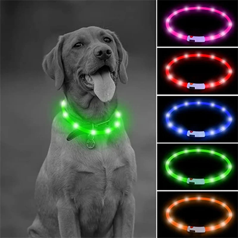 USB Rechargeable LED Pet Collar – Adjustable & Glowing
