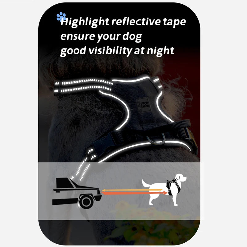 Personalized No-Pull Reflective Padded Dog Harness